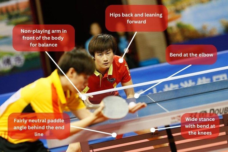 What Is the Table Tennis Ready Position & When Should You Use It? - Table  Tennis Teacher