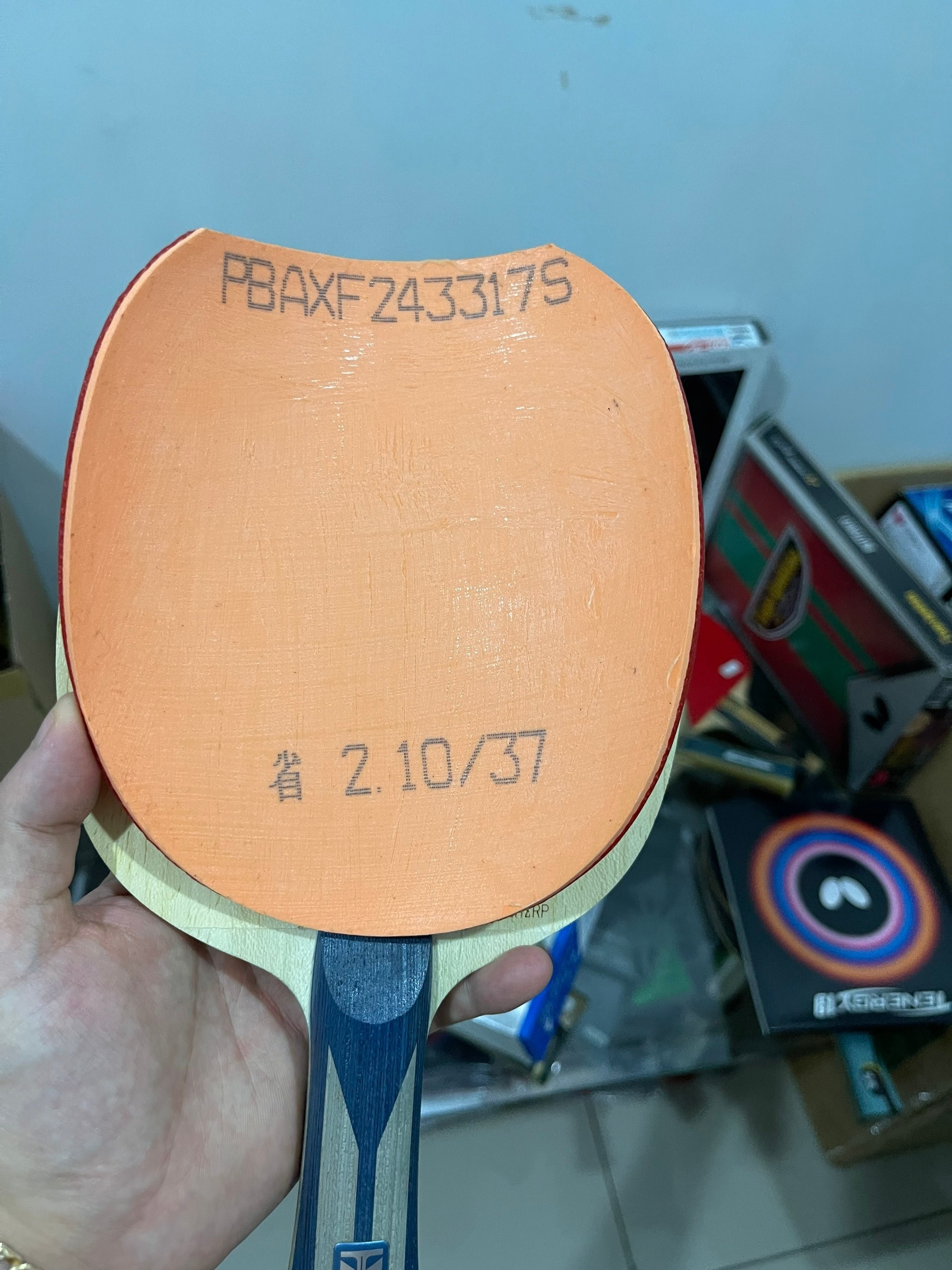 h32.jpg