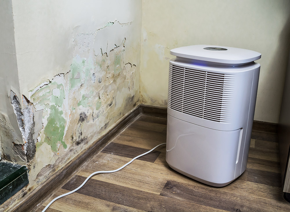 molding-walls-and-air-purifier.jpg