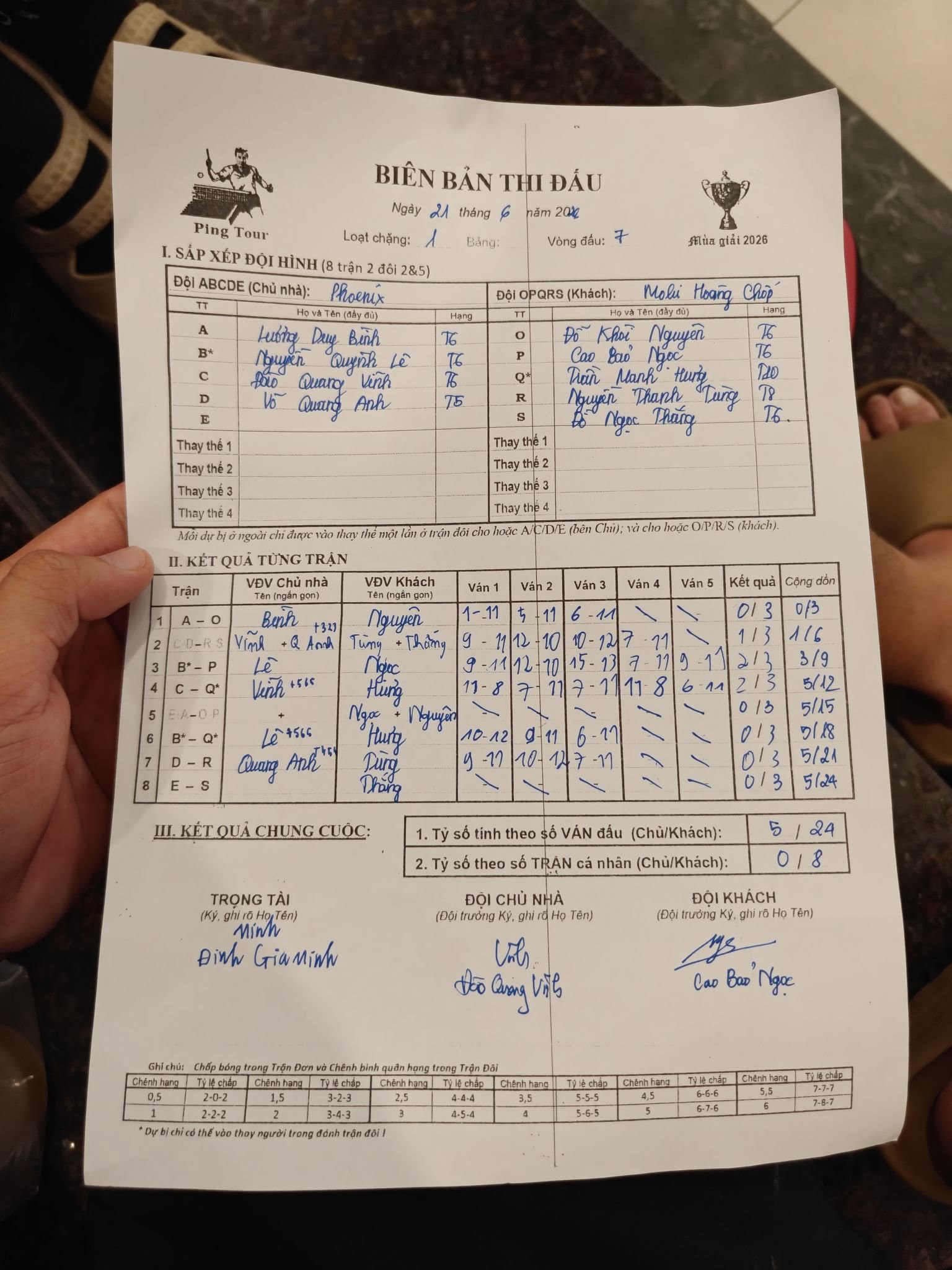 Phoenix - Mobi Hoang Chop.jpg