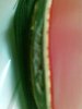 Hình ảnh005.jpg