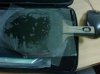 IMG00031-20130627-1203.jpg