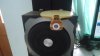 DSC08340.jpg