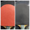 20200131_184640-COLLAGE.jpg