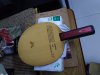 IMG_20200923_152145.jpg