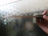 20141130_070114.jpg