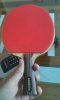 20150401_1204499.jpg