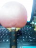 20150414215136.jpg