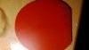WP_20140405_032.jpg