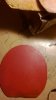 WP_20140402_005.jpg
