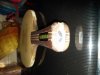 20160229_081457.jpg