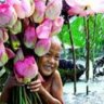 sơn vietba