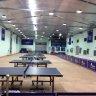 Ngay ngo ping pong