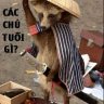 Thang_Z175